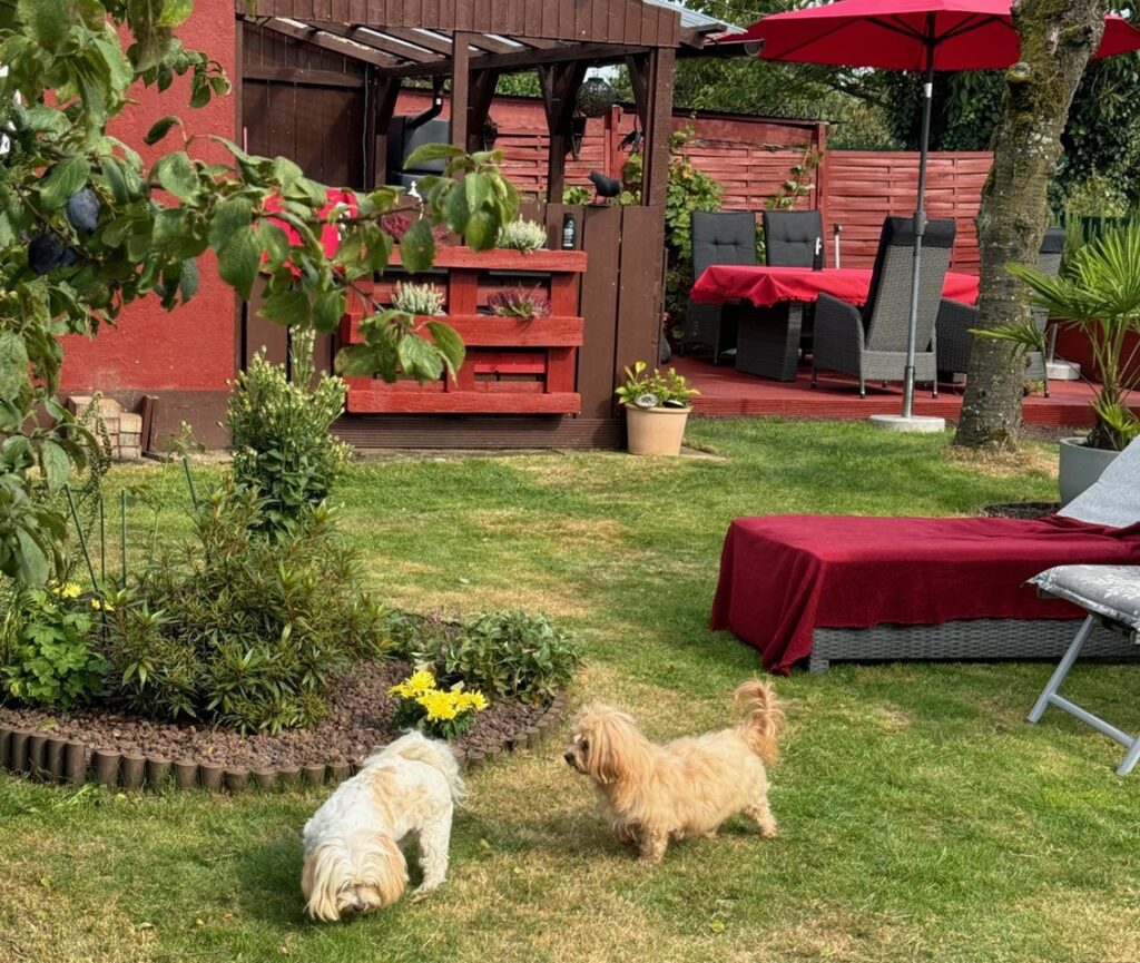 Schrebergarten