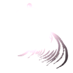 Surferboy