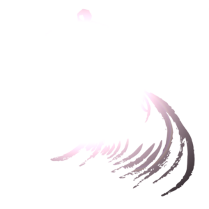 Surferboy